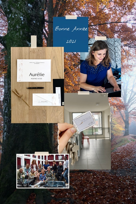 Carte de voeux de l'Agence Iltze retraçant les moments forts de l'année : Masterclass, achat des bureaux, formations...)