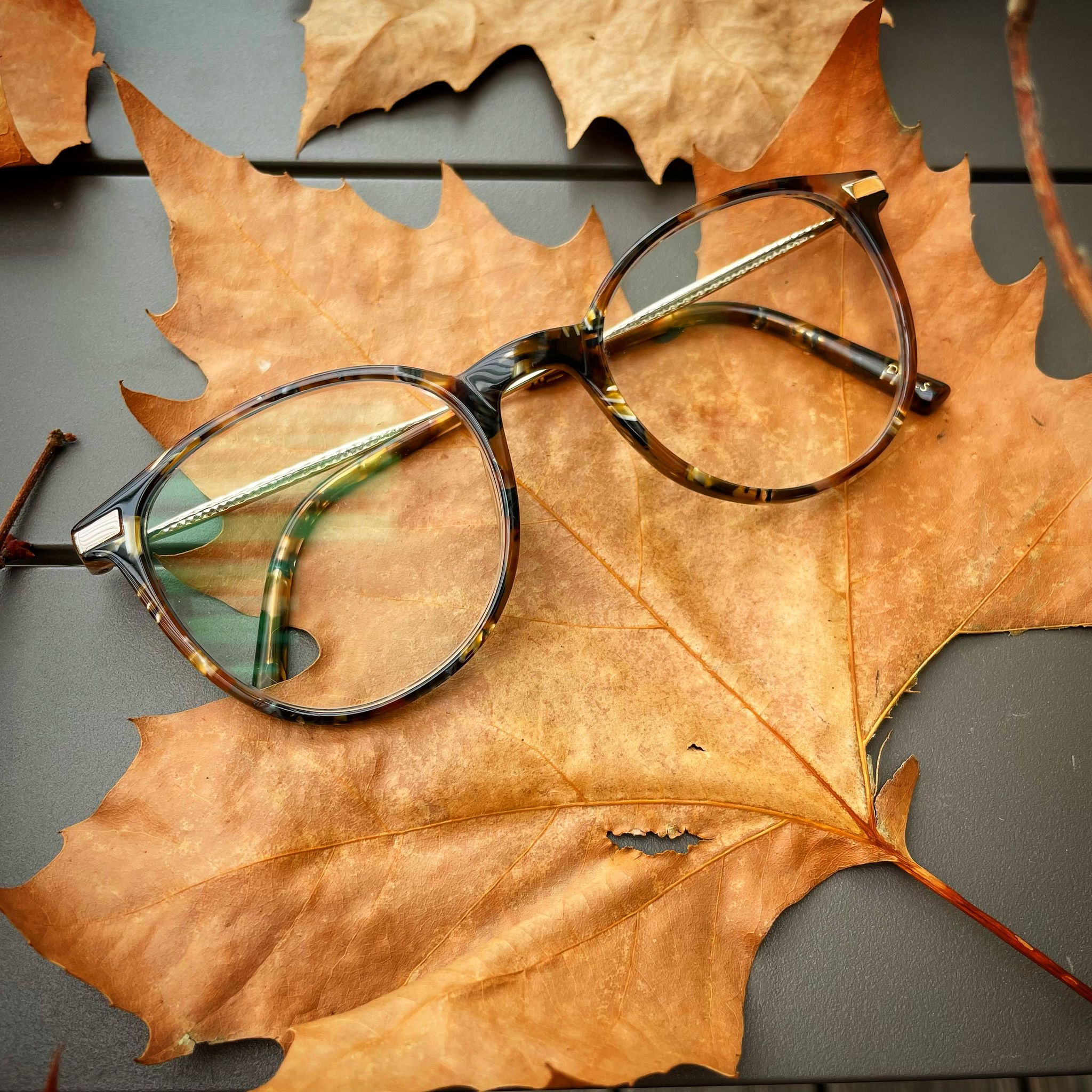 Lunettes posées sur une feuille de platane sèche prise en photo par l'Agence Iltze