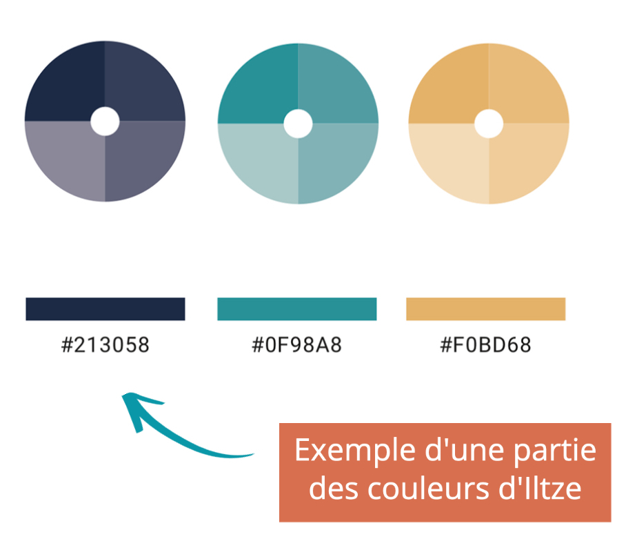 Charte graphique d'Iltze : extrait de nos couleurs