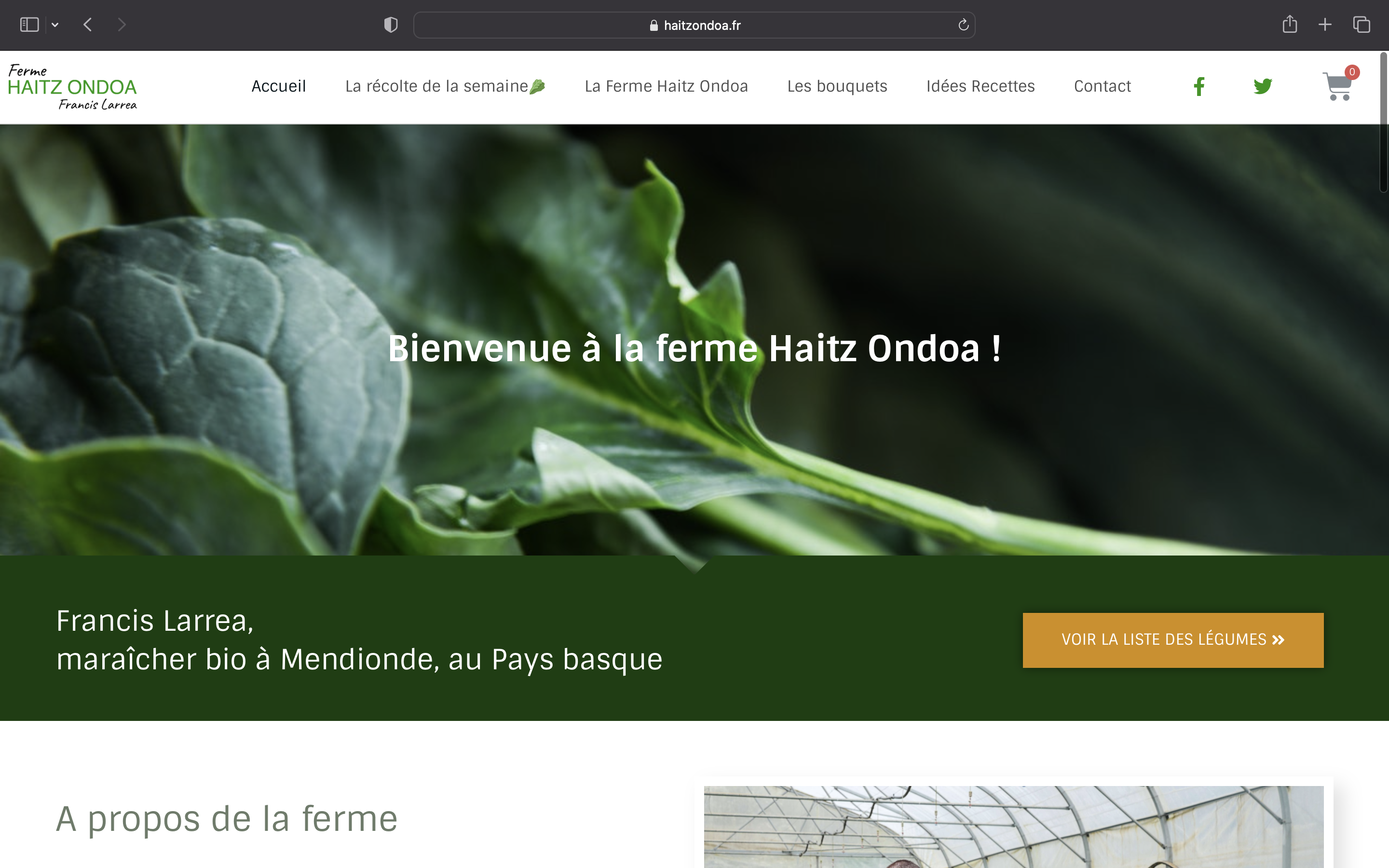 Site Web du maraicher Francis Larrea, Haitzondoa, au Pays basque