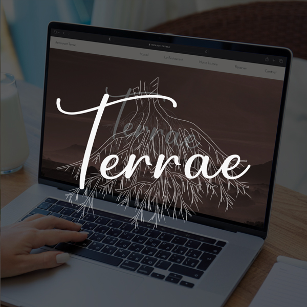 site-wordpress-e-commerce-terrae-gastronomique-restaurant-cambo-les-bains-agence-iltze.jpg