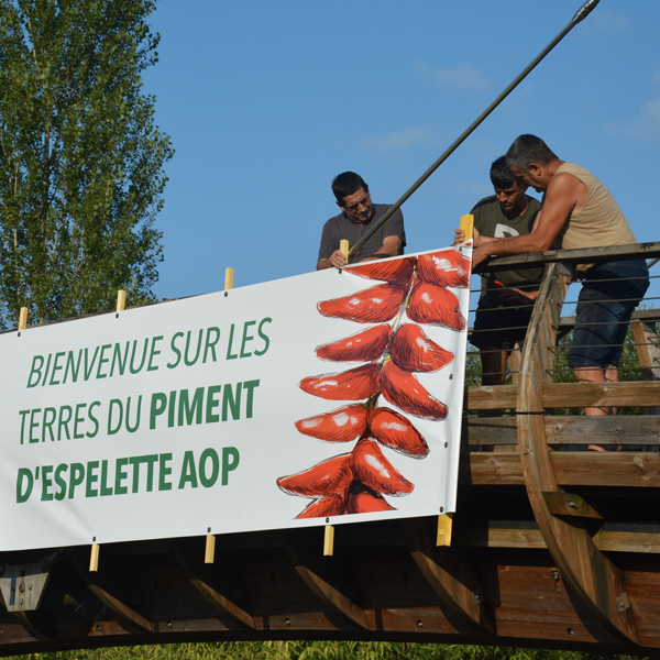 syndicat-piment-espelette-tour-de-france-agence-iltze-passerelle