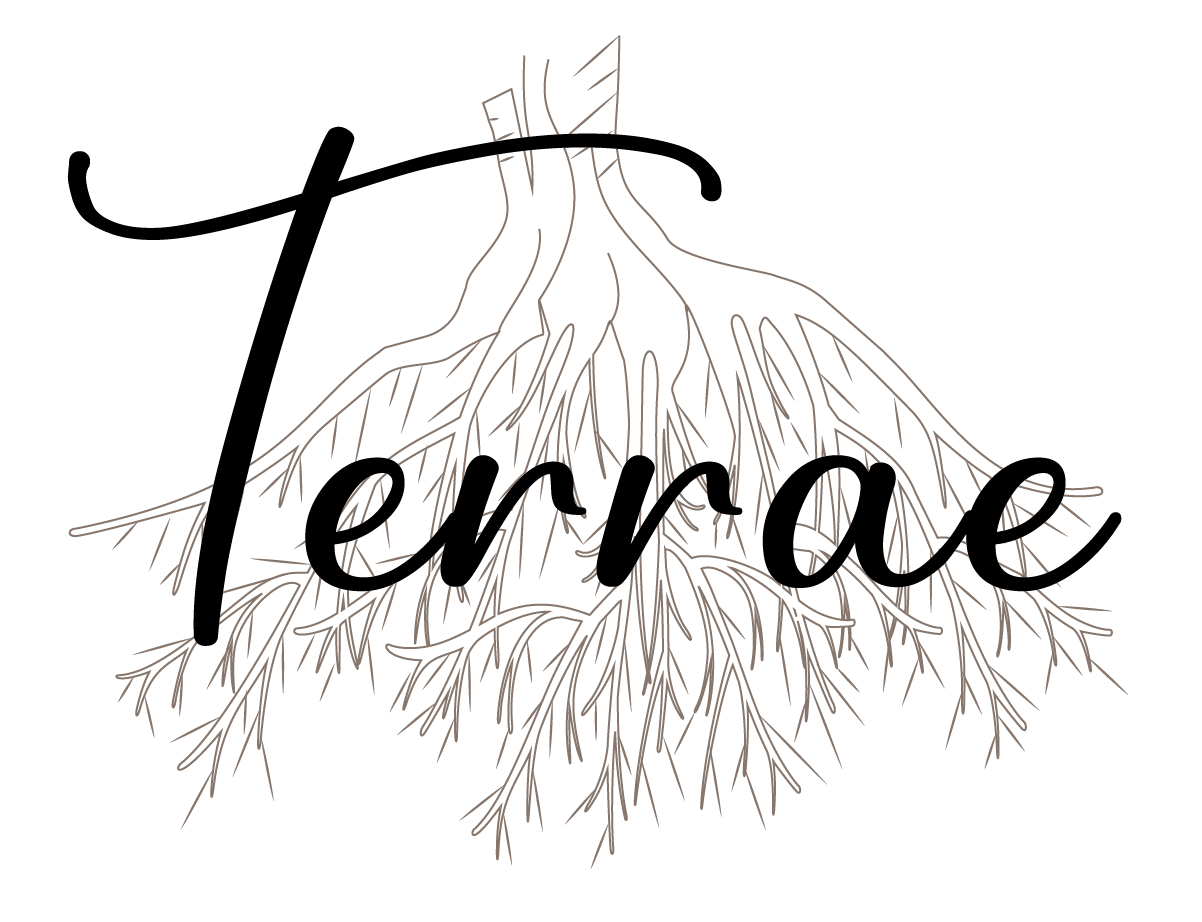 Logo Restaurant Terrae