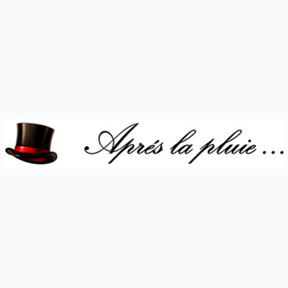 Logo Après La Pluie