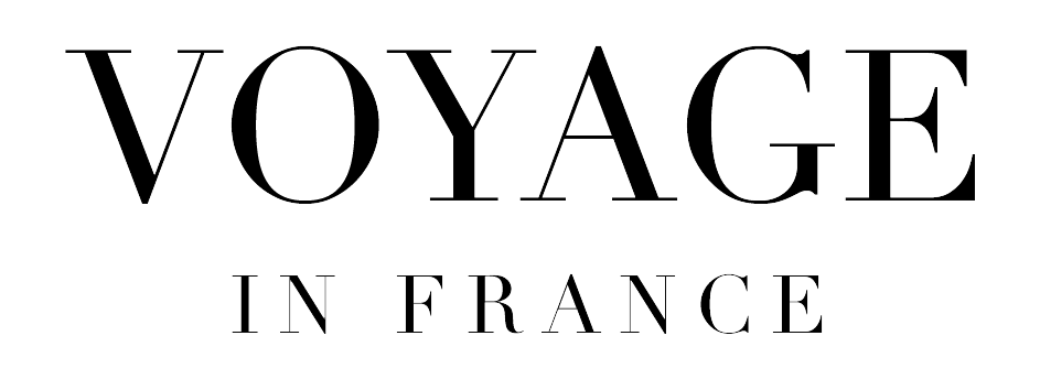 Logo Voyage in France